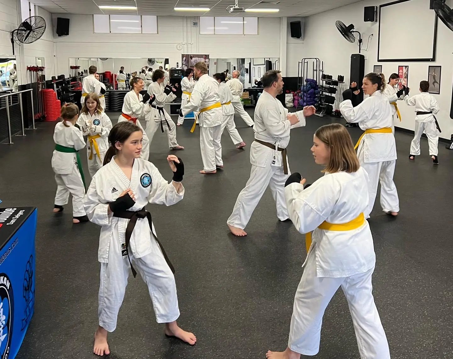 Sensei Sam Siegers teaching a class